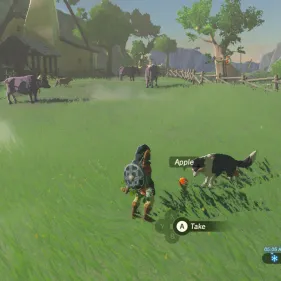 The Legend of Zelda: Breath of the Wild's photo #5